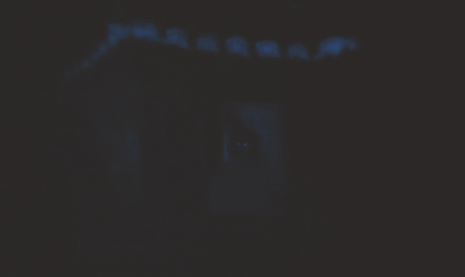 21.gif