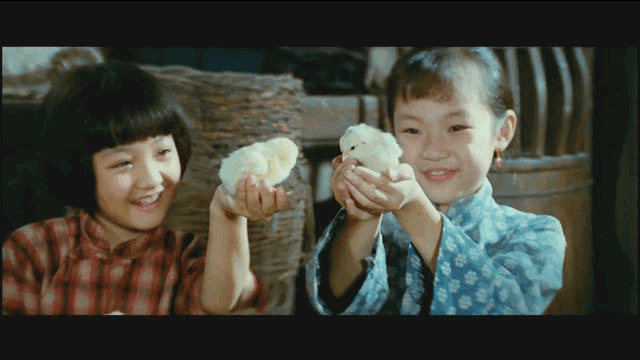 13.gif