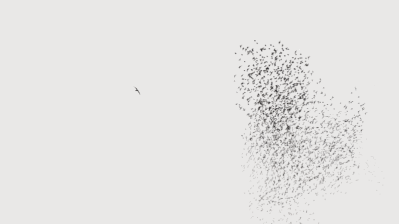 13.gif
