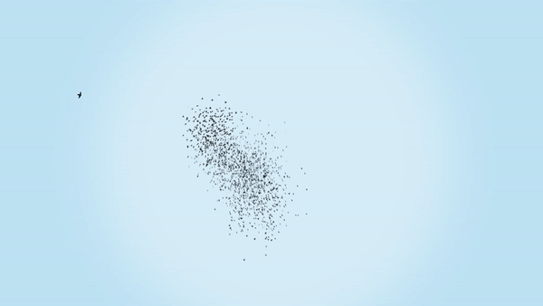 12.gif