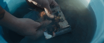 55.gif