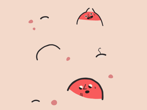 41.gif