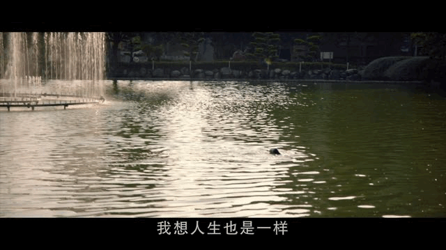 81.gif