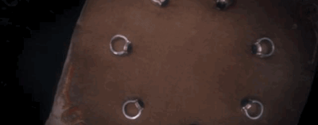 5.gif