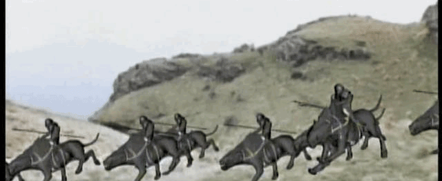 41.gif