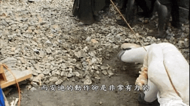 81.gif