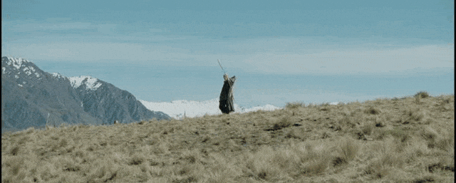 13.gif