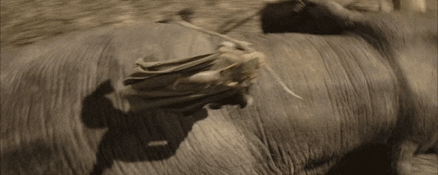 36.gif