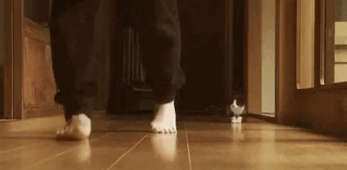 9.gif 9.gif