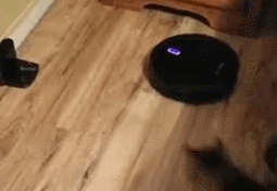 8.gif 8.gif