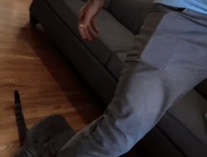 17.gif 17.gif