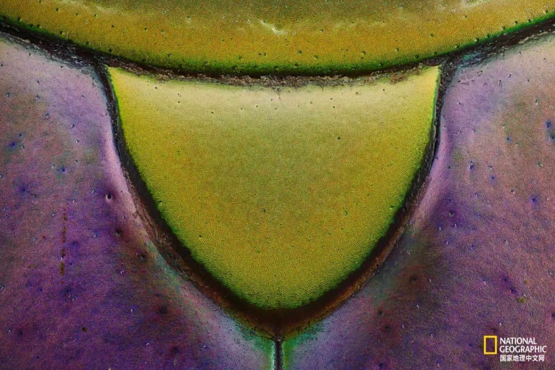 93.jpg
