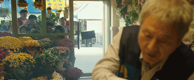 43.gif