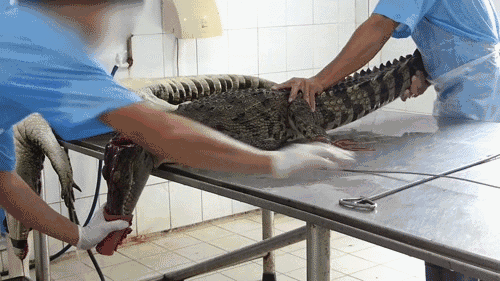 62F60592-F47E-4F81-8A48-90D53056B81F.gif