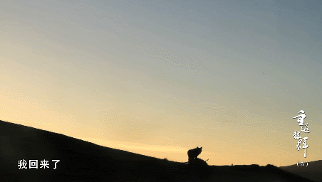 63.gif