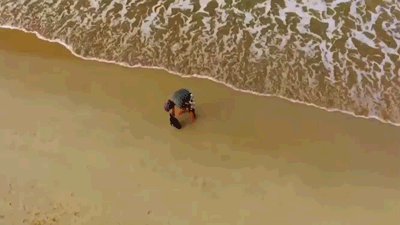 66.gif