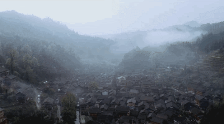 38.gif