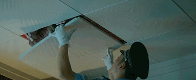 42.gif