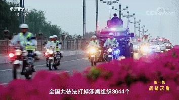 41.gif