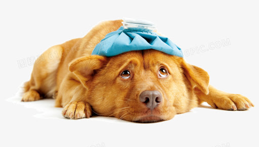 sick.jpg