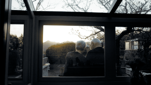 51.gif