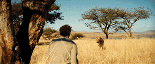 22.gif
