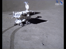 38.gif