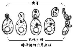 19.png 19.png