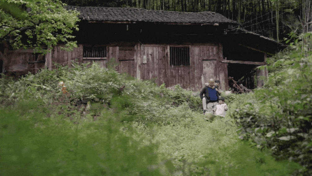 49.gif