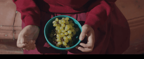 33.gif