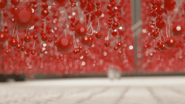 44.gif