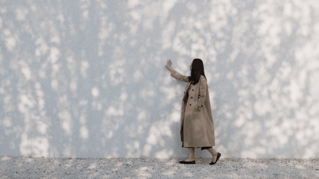 55.gif