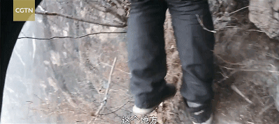 7.gif