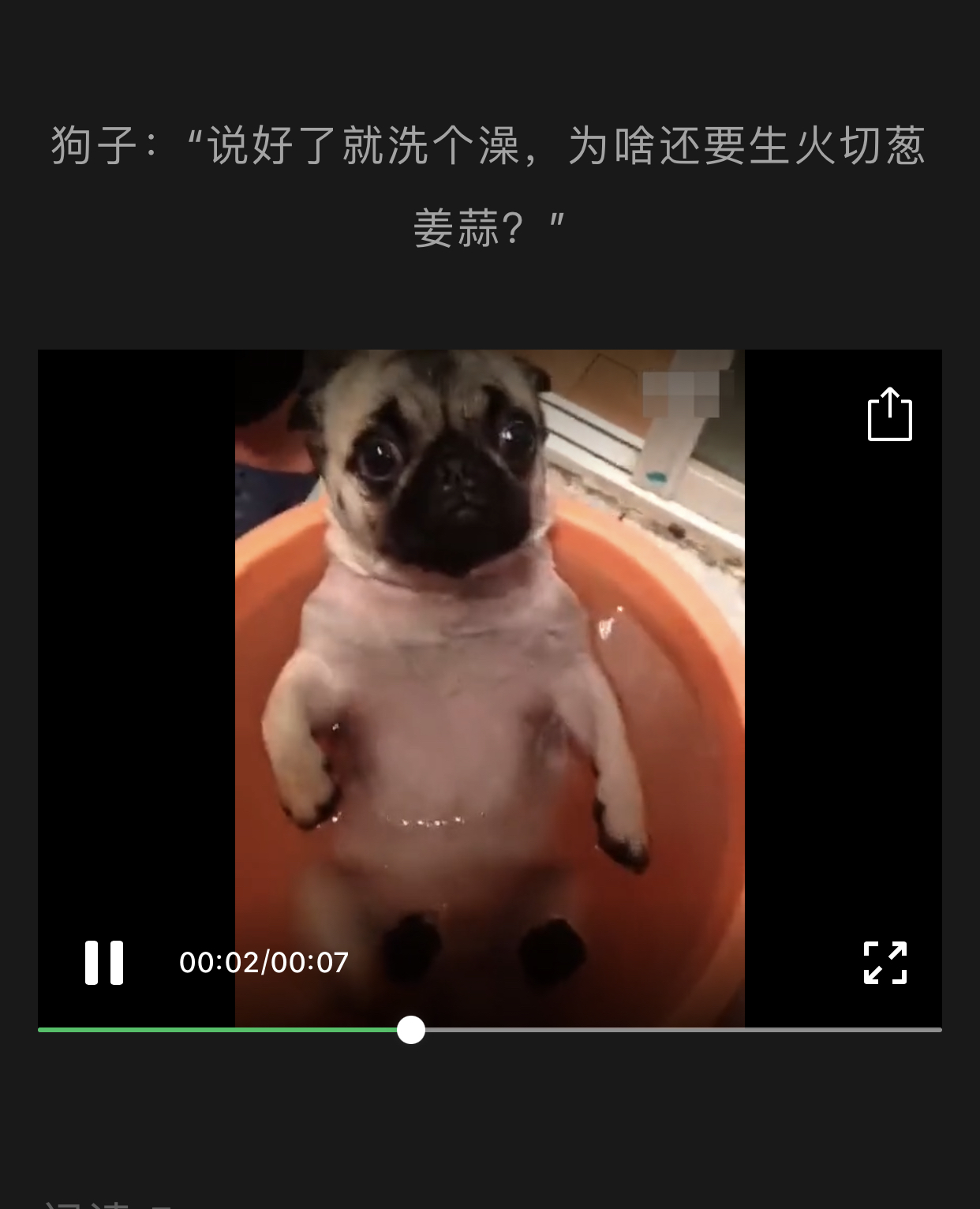 CC02BCF0-AFDA-4DB3-9146-C5E73B4F36C1.jpeg