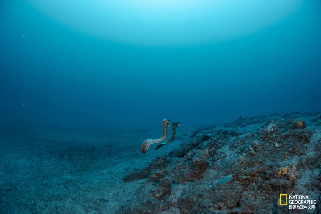 97.jpg