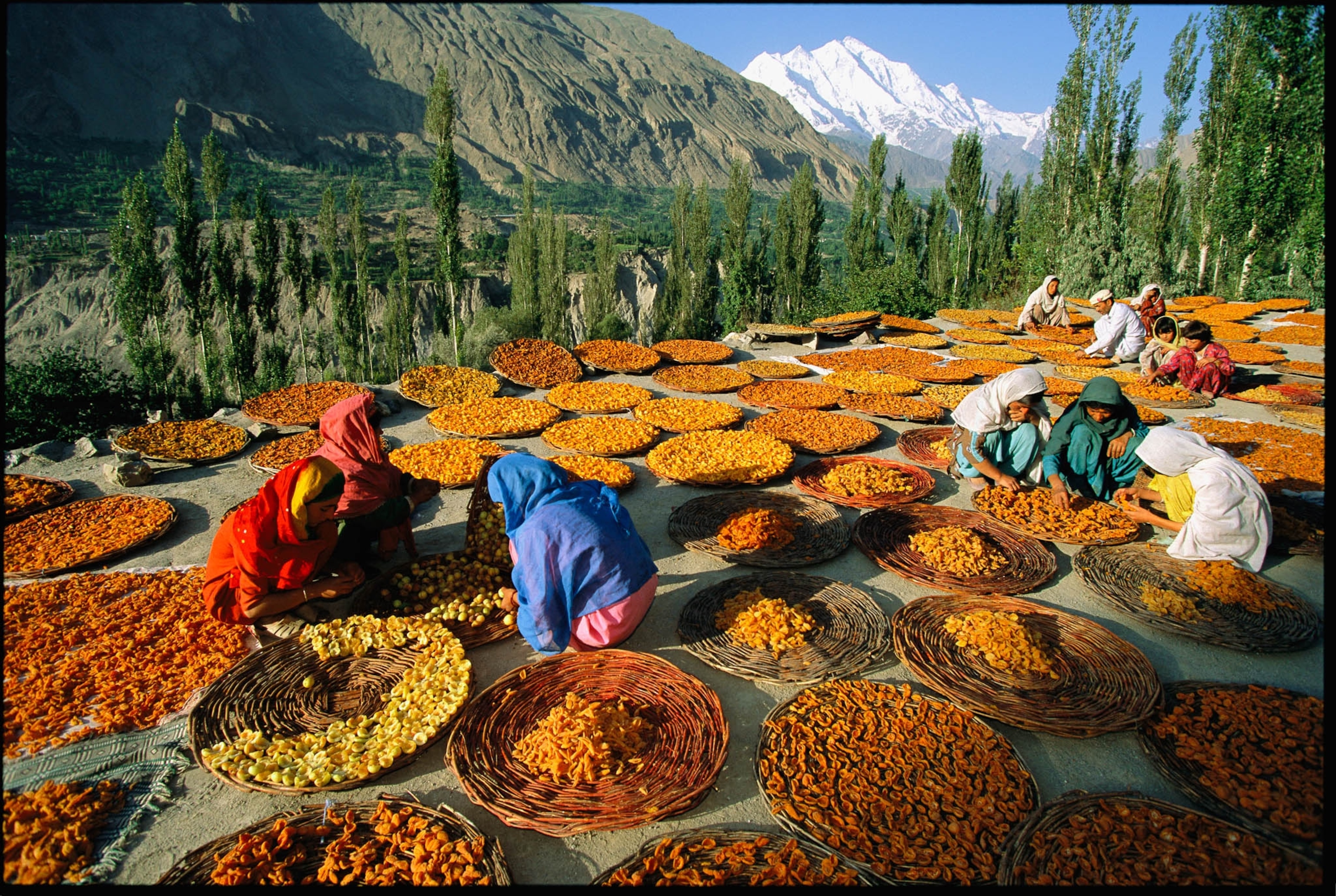 POD-18-05-2021_NationalGeographic_471535.jpg