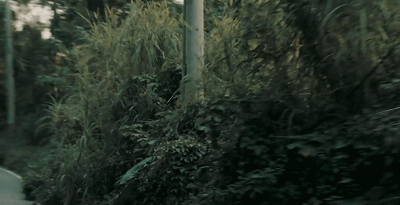 19.gif