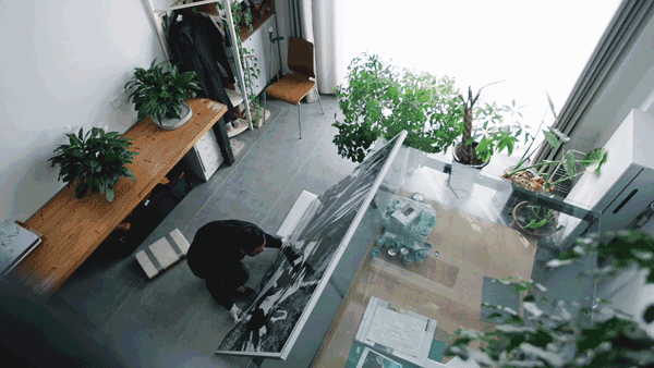 31.gif