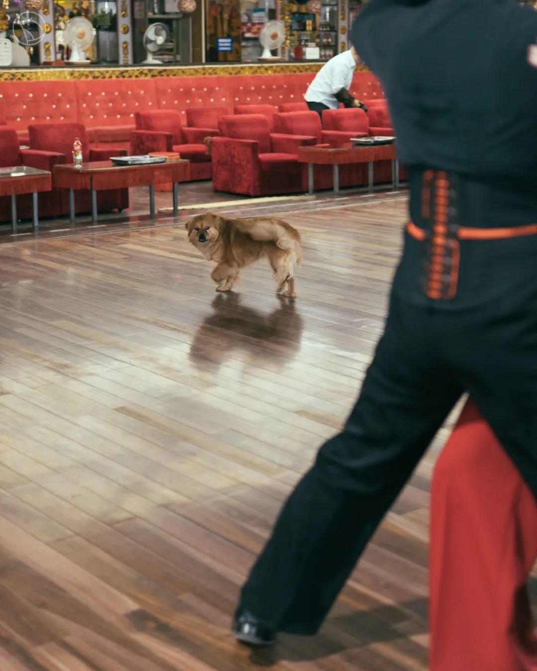 90.jpg