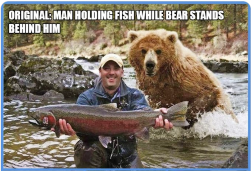 BearBehind.png