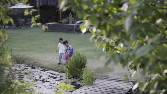 5.gif
