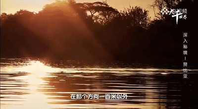 28.gif