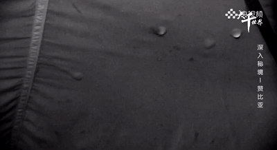 34.gif