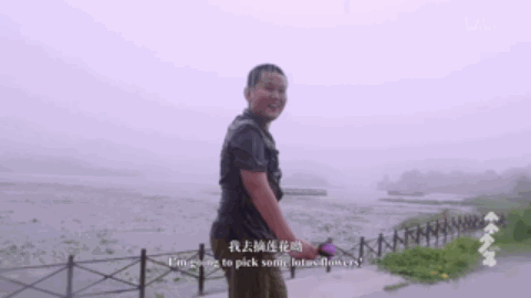 86.gif