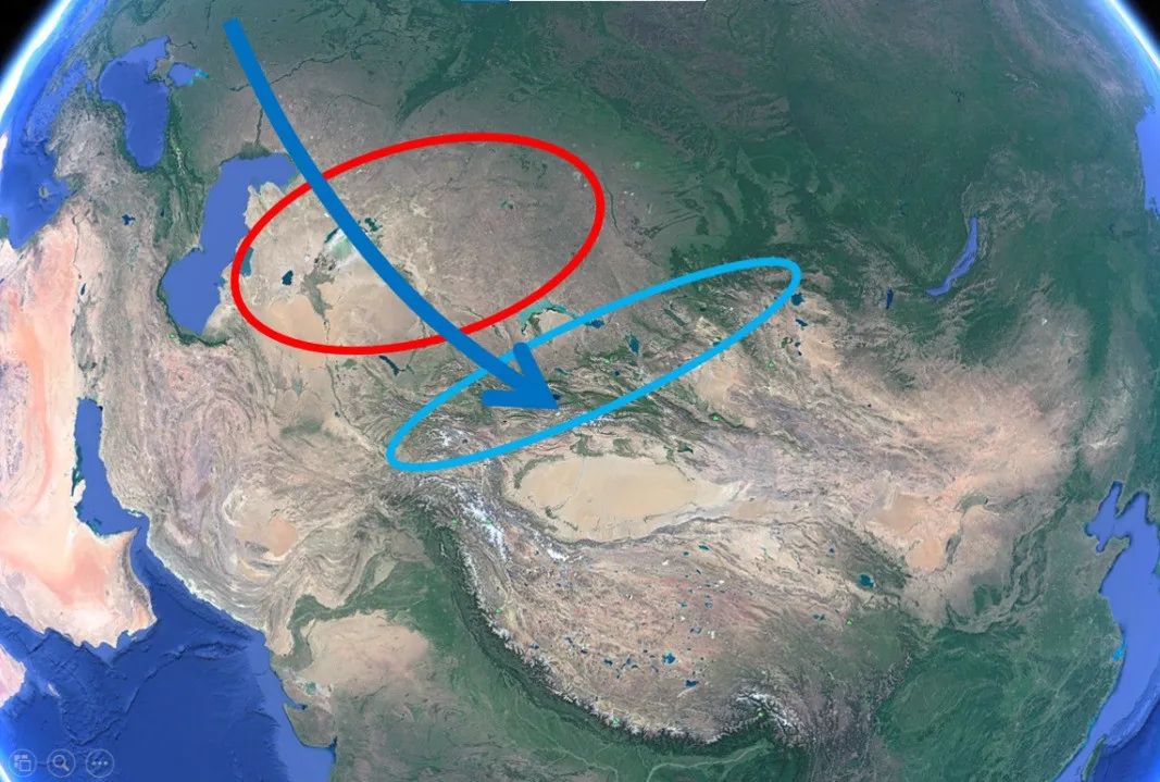 41.jpg