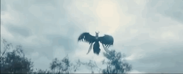 47.gif