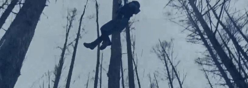 3.gif