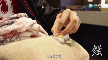 IMG_7110.GIF