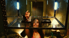 IMG_7618.GIF