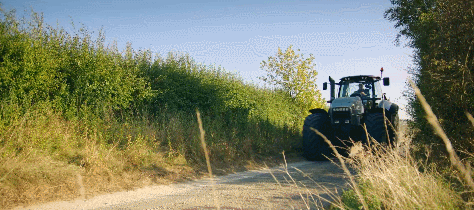 IMG_7865.GIF
